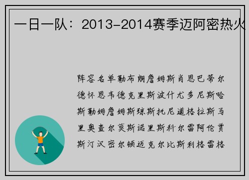 一日一队：2013-2014赛季迈阿密热火
