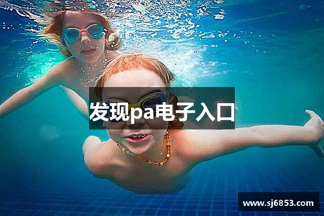 发现pa电子入口